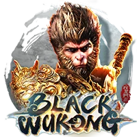 pp image