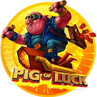 pp image