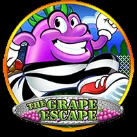 pp image